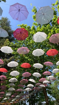 ムーミンバレーパークに投稿された画像（2024/5/2）