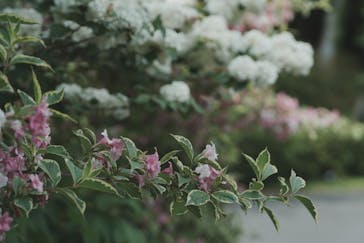 浜名湖パルパルに投稿された画像（2024/5/2）