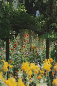 浜名湖パルパルに投稿された画像（2024/5/2）