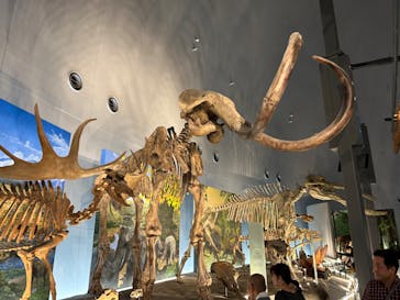 福井県立恐竜博物館に投稿された画像（2024/5/3）