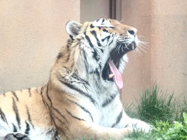 那須どうぶつ王国に投稿された画像（2024/5/3）