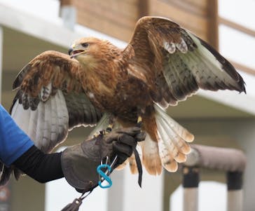 那須どうぶつ王国に投稿された画像（2024/5/3）