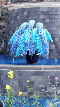 浜名湖花博2024に投稿された画像（2024/5/3）