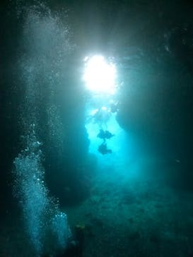 武藤潜水に投稿された画像（2024/5/3）