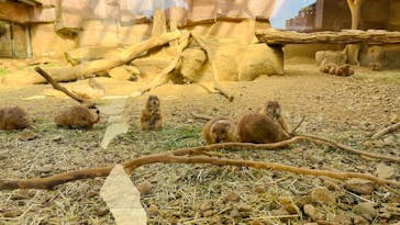 那須どうぶつ王国に投稿された画像（2024/5/3）