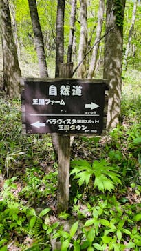 那須どうぶつ王国に投稿された画像（2024/5/3）