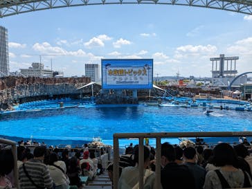 名古屋港水族館に投稿された画像（2024/5/3）