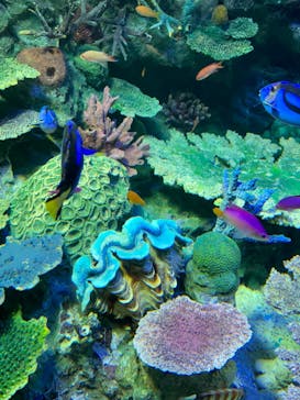 サンシャイン水族館に投稿された画像（2024/5/3）