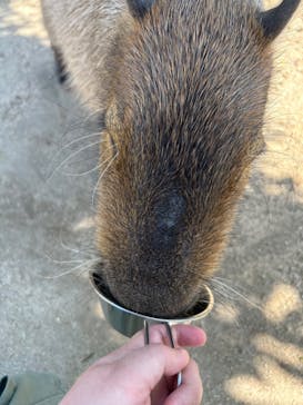 神戸どうぶつ王国に投稿された画像（2024/5/3）