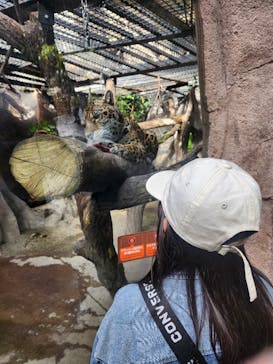 那須どうぶつ王国に投稿された画像（2024/5/3）