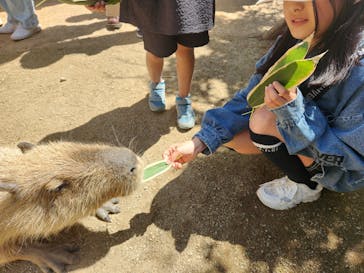 那須どうぶつ王国に投稿された画像（2024/5/3）