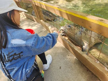 那須どうぶつ王国に投稿された画像（2024/5/3）