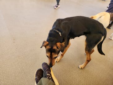 那須どうぶつ王国に投稿された画像（2024/5/3）