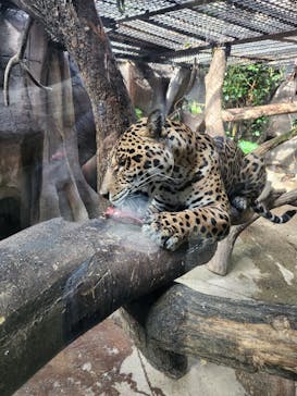 那須どうぶつ王国に投稿された画像（2024/5/3）