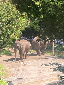 よこはま動物園ズーラシアに投稿された画像（2024/5/3）