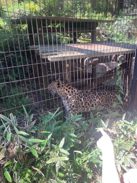 よこはま動物園ズーラシアに投稿された画像（2024/5/3）