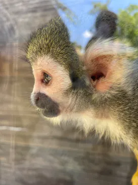 ひらかたパークに投稿された画像（2024/5/3）