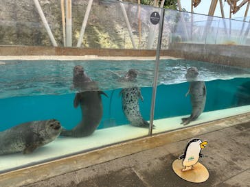 城崎マリンワールドに投稿された画像（2024/5/3）