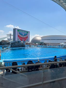 名古屋港水族館に投稿された画像（2024/5/3）