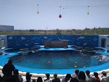 仙台うみの杜水族館に投稿された画像（2024/5/3）