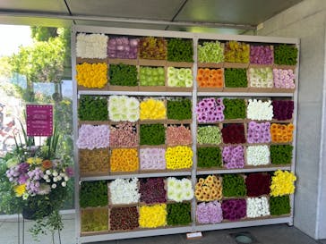 浜名湖花博2024に投稿された画像（2024/5/3）