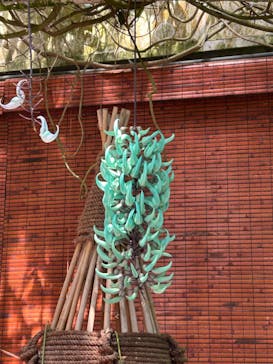 浜名湖花博2024に投稿された画像（2024/5/3）