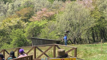 那須どうぶつ王国に投稿された画像（2024/5/3）