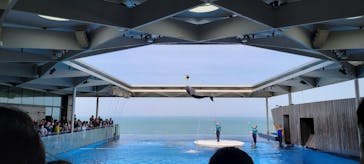 上越市立水族博物館 うみがたりに投稿された画像（2024/5/3）