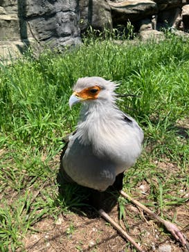 東武動物公園に投稿された画像（2024/5/3）