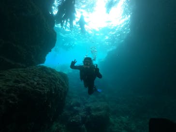 ダイビングショップ　ハイビスカスに投稿された画像（2024/5/3）