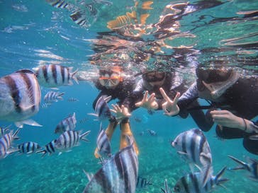 沖縄マリンサービス碧に投稿された画像（2024/5/3）