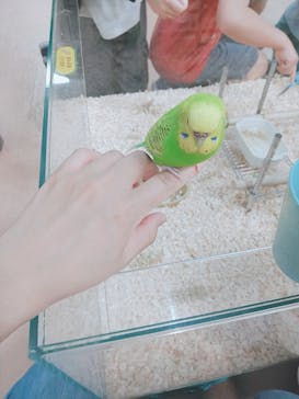 いきもの探検隊上尾に投稿された画像（2024/5/3）