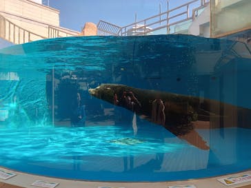 サンシャイン水族館に投稿された画像（2024/5/3）