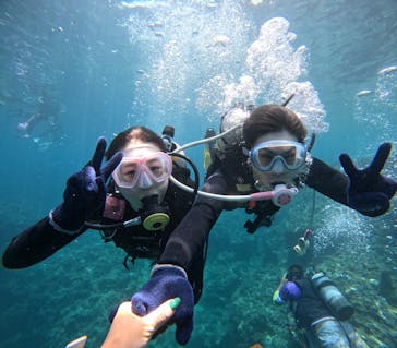 沖縄マリンサービス碧に投稿された画像（2024/5/3）