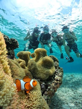 宮古島マリンショップSmileyに投稿された画像（2024/5/3）