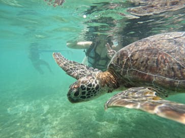 宮古島マリンショップSmileyに投稿された画像（2024/5/3）