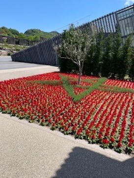 ぎふワールド・ローズガーデンに投稿された画像（2024/5/3）