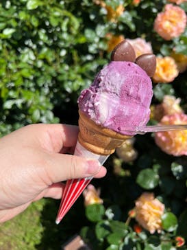 京成バラ園に投稿された画像（2024/5/3）