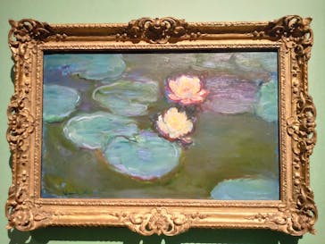 モネ　連作の情景に投稿された画像（2024/5/3）