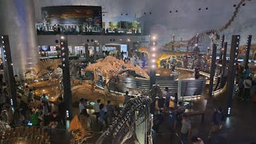 福井県立恐竜博物館に投稿された画像（2024/5/3）