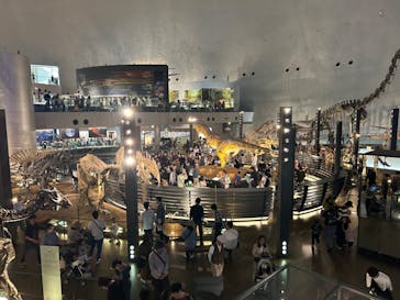 福井県立恐竜博物館に投稿された画像（2024/5/3）