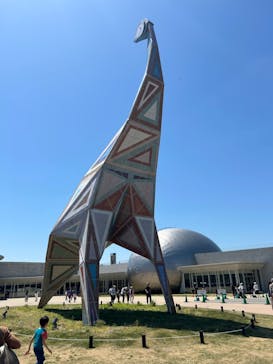 福井県立恐竜博物館に投稿された画像（2024/5/3）