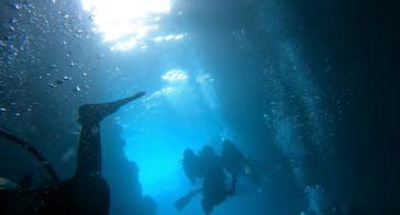 武藤潜水に投稿された画像（2024/5/3）