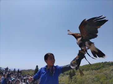 那須どうぶつ王国に投稿された画像（2024/5/3）