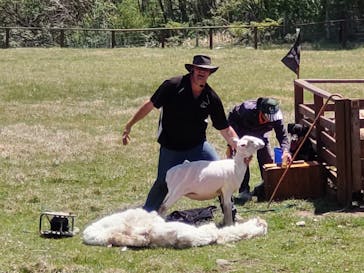 那須どうぶつ王国に投稿された画像（2024/5/3）