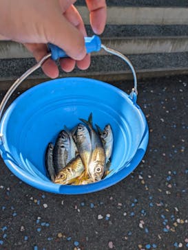 城崎マリンワールドに投稿された画像（2024/5/3）