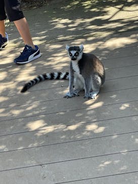 神戸どうぶつ王国に投稿された画像（2024/5/3）