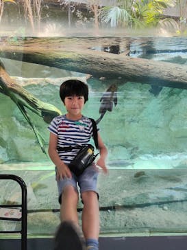 カワスイ 川崎⽔族館に投稿された画像（2024/5/3）