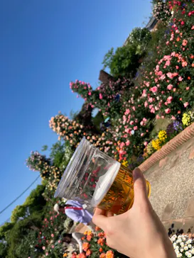 ひらかたパークに投稿された画像（2024/5/3）