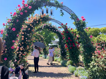 ひらかたパークに投稿された画像（2024/5/3）